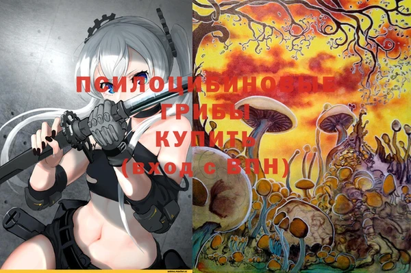 таблы Алексеевка
