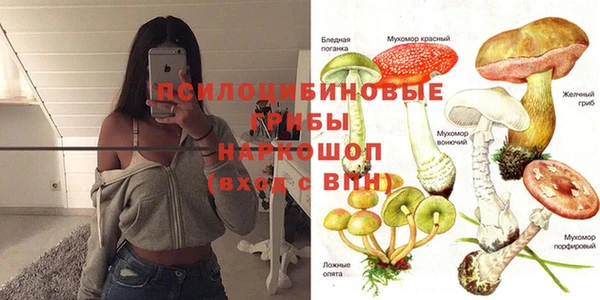 таблы Алексеевка