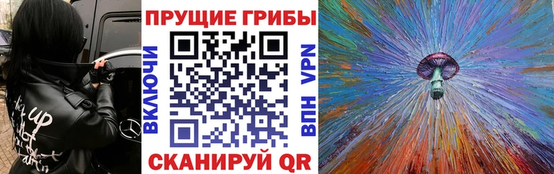 Галлюциногенные грибы Psilocybine cubensis  KRAKEN ссылка  shop наркотические препараты  Муром 